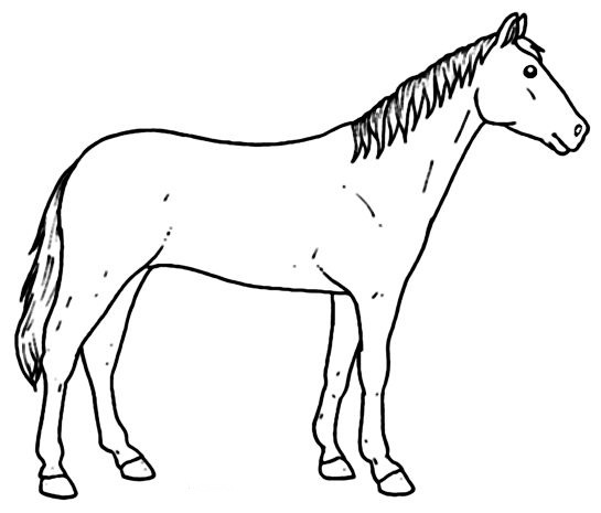 DESENHOS DE CAVALO PARA COLORIR 1
