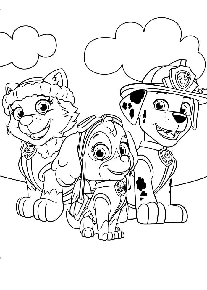 Desenho da patrulha canina para colorir 5