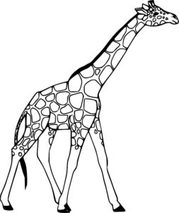 desenhos de girafas para colorir 1