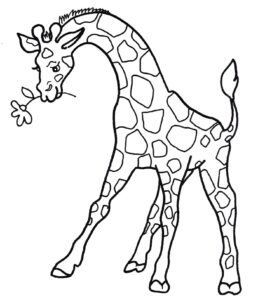 desenhos de girafas para colorir 2