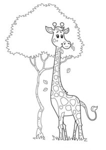 desenhos de girafas para colorir 4