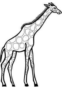 desenhos de girafas para colorir 7