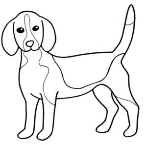 desenhos de cachorros para colorir 9