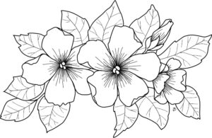 Desenhos Para Colorir 13 desenhos para colorir 11