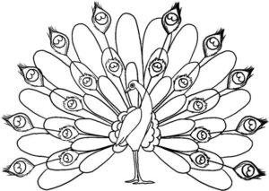Desenhos Para Colorir 5 desenhos para colorir 3