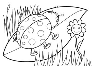 Desenhos Para Colorir 7 desenhos para colorir 5