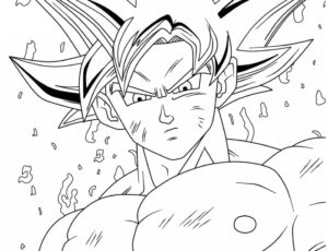 desenhos do goku para colorir 20