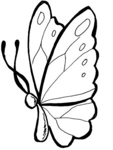 desenhos de borboleta para colorir 1