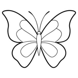desenhos de borboleta para colorir 5