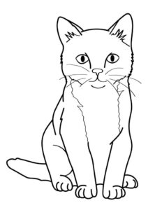 DESENHOS DE GATOS PARA COLORIR 2
