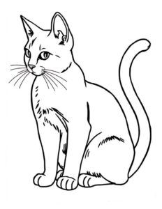DESENHOS DE GATOS PARA COLORIR 5