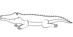 Desenhos de Jacaré para colorir