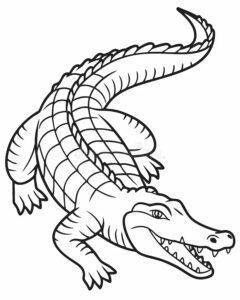 Desenhos de Jacaré para colorir