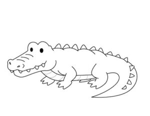 Desenhos de Jacaré para colorir