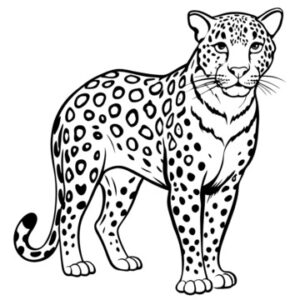 Desenhos de Onça Para colorir 