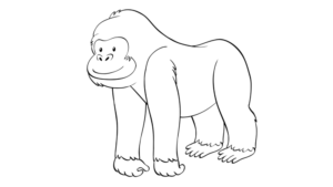 desenhar gorila