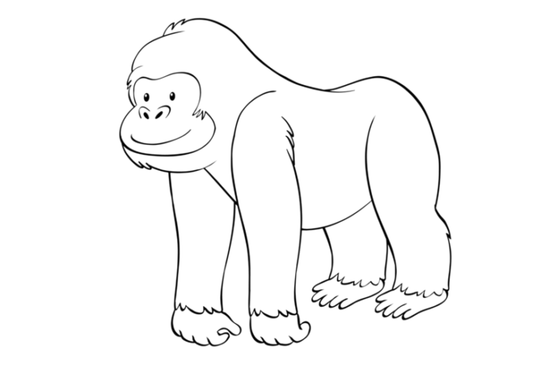 desenhar gorila