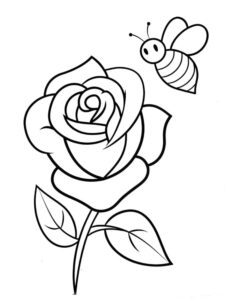 desenhos de rosas para colorir 1