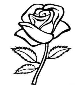 desenhos de rosas para colorir 10