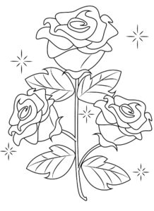 desenhos de rosas para colorir 11