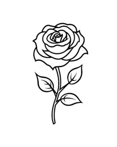 desenhos de rosas para colorir 2