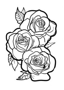 desenhos de rosas para colorir 4