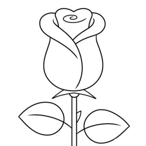 desenhos de rosas para colorir 5