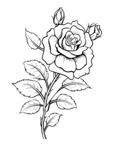 desenhos de rosas para colorir 7