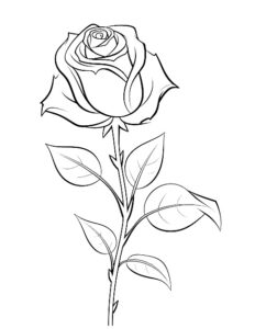 desenhos de rosas para colorir 8