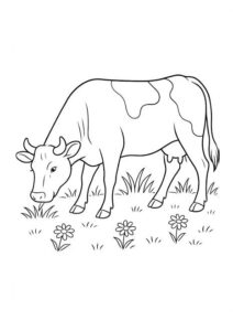 Desenhos de Vaca para colorir